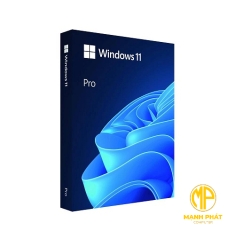 Phần mềm Microsoft Win Pro FPP 11 (USB HAV-00163) 64-bit Eng Intl 