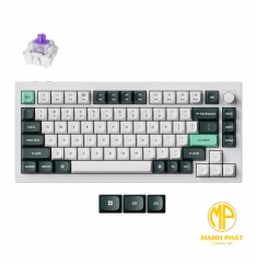 Bàn phím tùy chỉnh không dây Keychron Q1H-P1