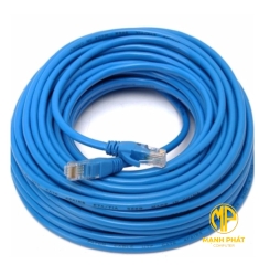 Cable Lan UTP Cate 5 - 10m ( Bấm Sẵn 2 Đầu )	DÂY XANH 