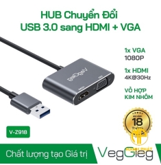 Bộ Chuyển USB sang HDTV+ VGA Veggieg V-Z918 (DM V-Z918)
