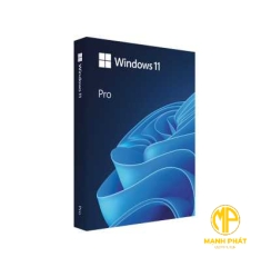 Phần mềm Windows 11 Pro 64-bit OEM (FQC-10528 Win Pro 11 x64 Eng Intl 1pk DSP OEI DVD) Mp