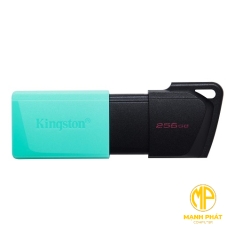 USB KINGSTON 256GB DATATRAVELER EXODIA DTXM/256GB (USB 3.2)