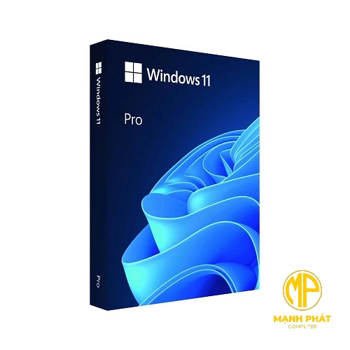 Phần mềm Microsoft Win Pro FPP 11 (USB HAV-00163) 64-bit Eng Intl